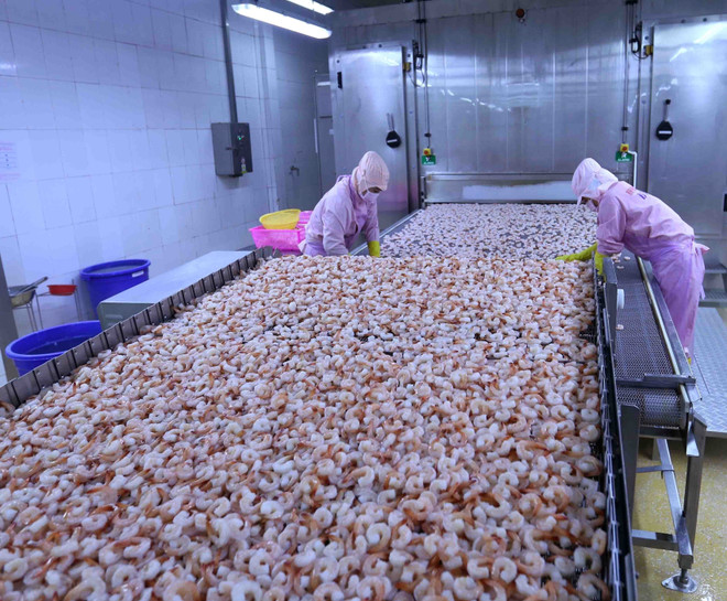 Gov’t to issue lists of preferential tariffs under EVFTA ảnh 1 Gov’t to issue lists of preferential tariffs under EVFTA ảnh 1
