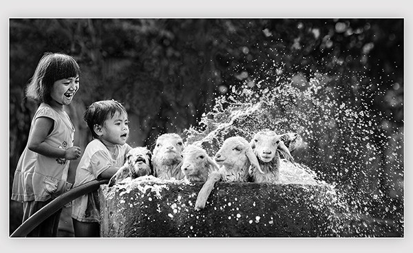 Balkan Exhibition honours Vietnamese photographers ảnh 1