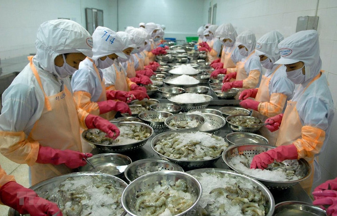 Vietnam’s aquatic product exports decline in January ảnh 1