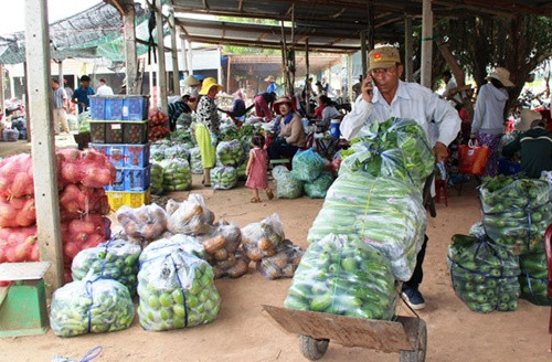 Forum looks to boost farmers' efficiency ảnh 1 Forum looks to boost farmers' efficiency ảnh 1
