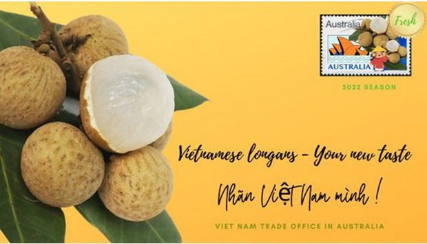 Ten tonnes of Vietnamese longan exported to Australia ảnh 1 Ten tonnes of Vietnamese longan exported to Australia ảnh 1