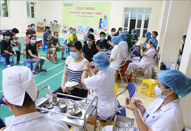 Four more vaccines to be included in Expanded Immunisation Programme ảnh 2