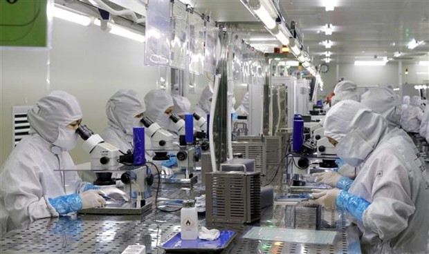 Vietnam able to become new tiger in Asia: economist ảnh 2