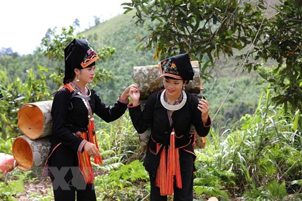 PM to chair conference promoting development of northern midland, mountainous region ảnh 1