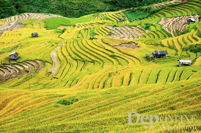Cultural week of Mu Cang Chai terraced field opens ảnh 1