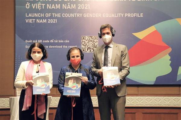  First overall report on gender equality situation in Vietnam released ảnh 2