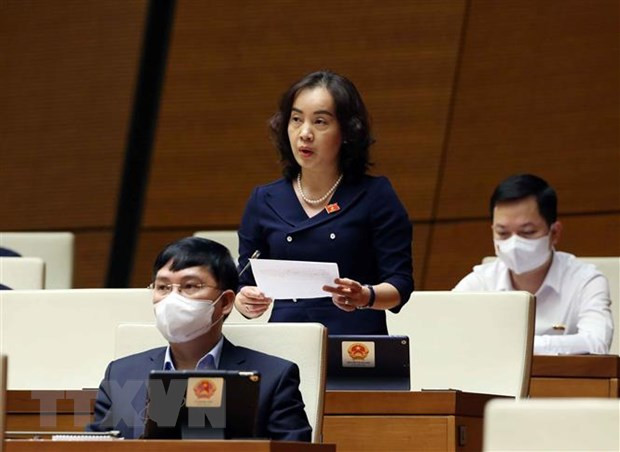 Vietnamese women's role hailed at French-speaking community ảnh 1