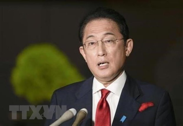 Japan vows to work with ASEAN for free, open Indo-Pacific region ảnh 1