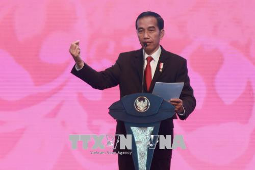 Indonesia hopes ASEAN will become pioneer of regional stability ảnh 1