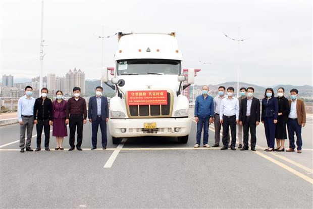 Guangxi Zhuang Autonomous Region grants medical supplies to northern provinces ảnh 1