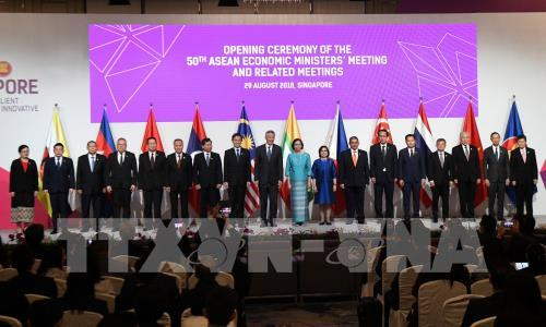 Vietnam seeks multilateral trade cooperation at AEM-50 ảnh 1