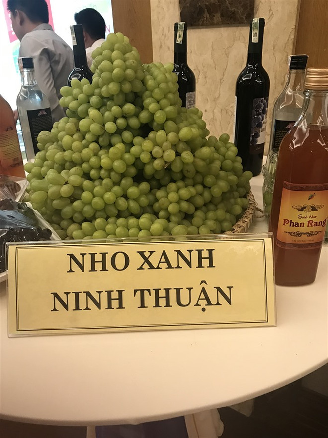 Ninh Thuan seeks ways to develop tourism ảnh 1 Ninh Thuan seeks ways to develop tourism ảnh 1