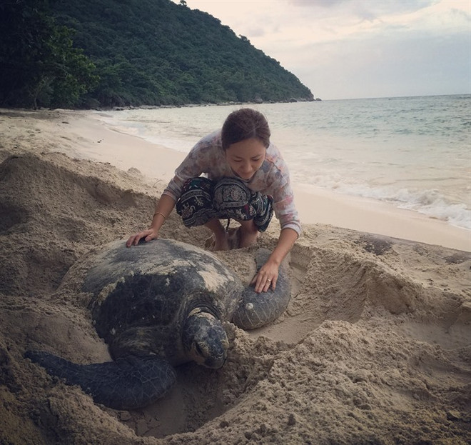 Con Dao Island pioneers sea turtle protection ảnh 1 Con Dao Island pioneers sea turtle protection ảnh 1