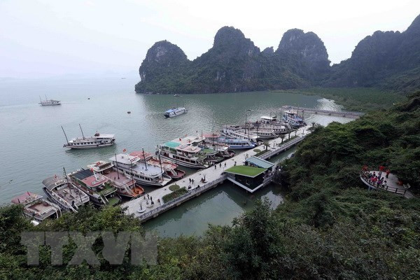 Quang Ninh works to raise quality of tourist ships on Ha Long Bay ảnh 1