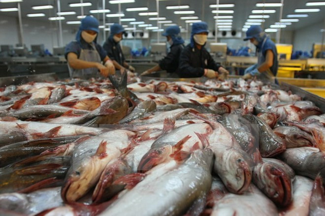 Tra fish shipments give hope to aquatic product exports ảnh 1