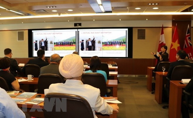 Da Nang seeks to boost trade, investment ties with Canada ảnh 1