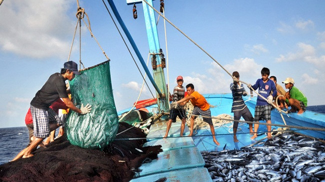 Binh Thuan steps up disseminations to fight IUU fishing ảnh 1