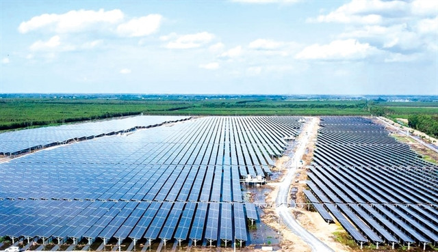 Renewable energy companies thrive on rising demand ảnh 1