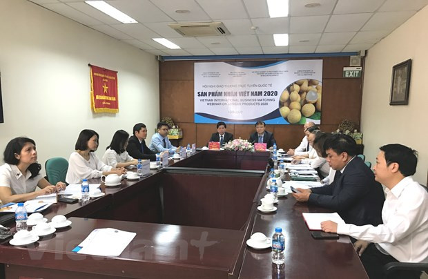 Importers explore partnerships for trading longan ảnh 1