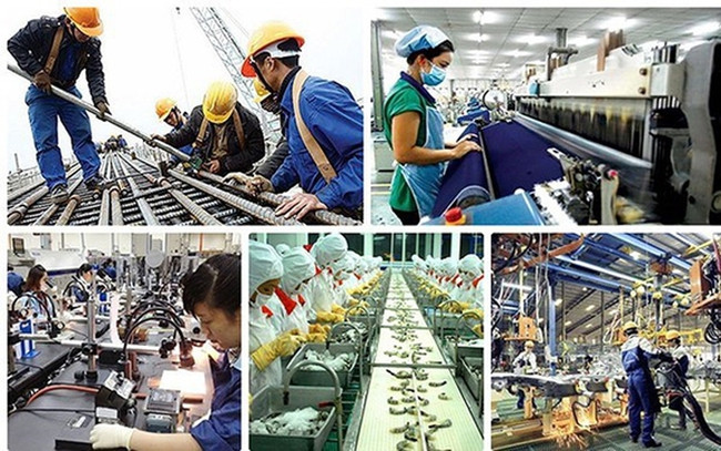 Developing high quality human resources for sustainable labour market recovery: experts ảnh 1 Developing high quality human resources for sustainable labour market recovery: experts ảnh 1