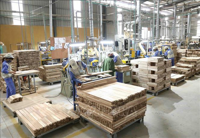 Forestry products bring home over 6.4 billion USD from exports in H1 ảnh 1