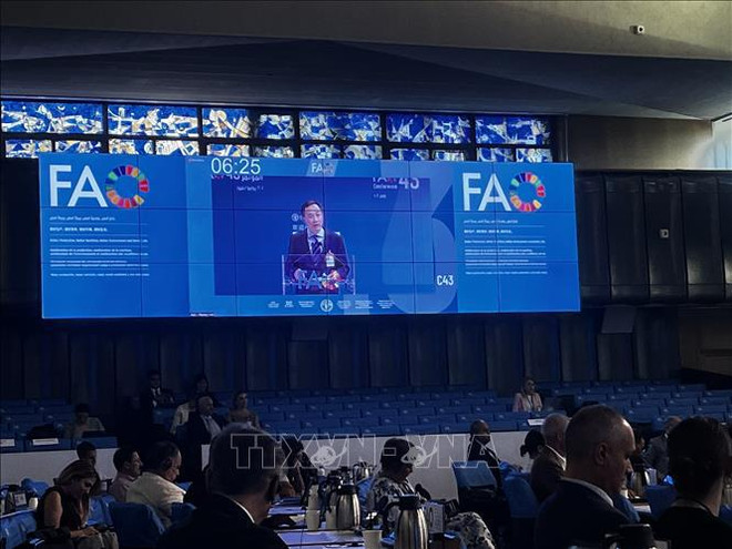 Vietnam's proposal at 43rd FAO conference’s plenary meeting ảnh 1 Vietnam's proposal at 43rd FAO conference’s plenary meeting ảnh 1