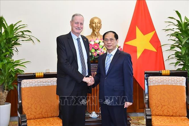 Vietnam attaches importance to ties with Israel: FM ảnh 1 Vietnam attaches importance to ties with Israel: FM ảnh 1