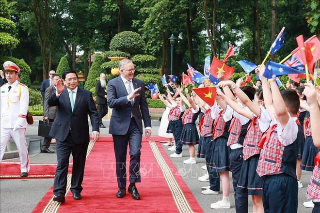 Australian expert hails Vietnam's bamboo diplomacy ảnh 1 Australian expert hails Vietnam's bamboo diplomacy ảnh 1