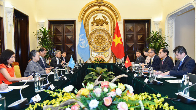 Vietnam attaches importance to cooperation with ESCAP: FM ảnh 1