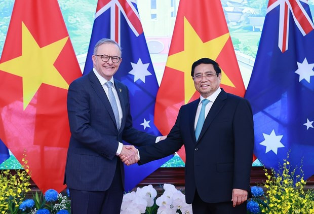 Bamboo diplomacy a hallmark of Vietnam's engagement with int'l community: Australian scholar ảnh 1