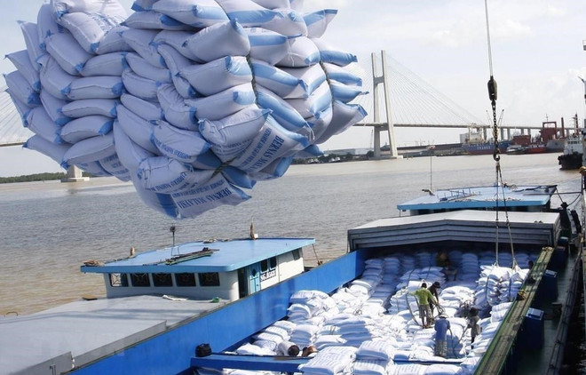 Minister urges seizing opportunities to boost rice export ảnh 1