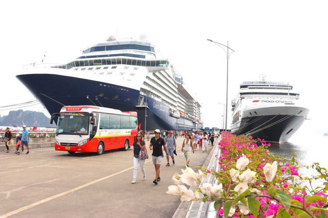 Int’l cruise ships to bring 80,000 visitors to Quang Ninh ảnh 1 Int’l cruise ships to bring 80,000 visitors to Quang Ninh ảnh 1