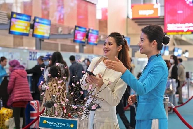 Vietnam Airlines transports apricot, peach blossoms for Tet ảnh 1
