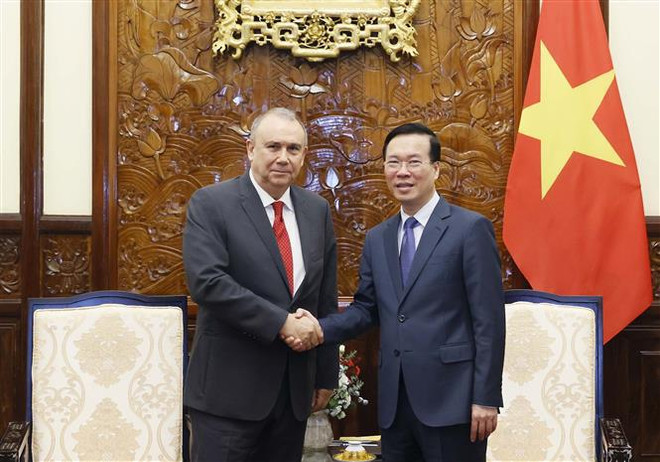President receives outgoing New Zealand, Peruvian Ambassadors ảnh 2