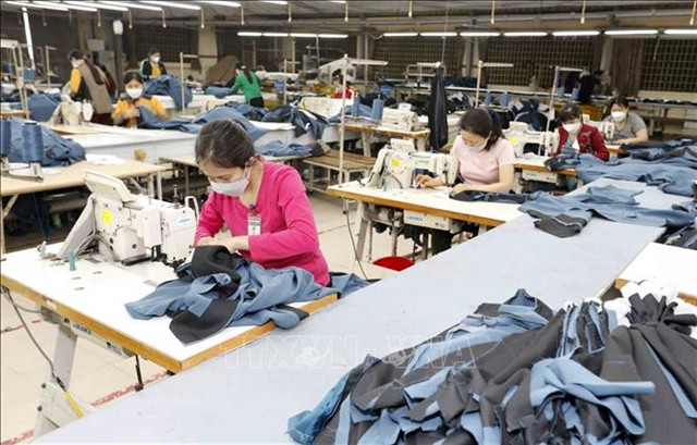 Local firms advised to be cautious when exporting to Spain ảnh 1