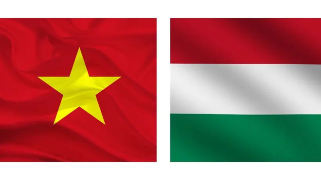 PM’s visit to bolster Vietnam - Hungary comprehensive partnership: Ambassador ảnh 1 PM’s visit to bolster Vietnam - Hungary comprehensive partnership: Ambassador ảnh 1