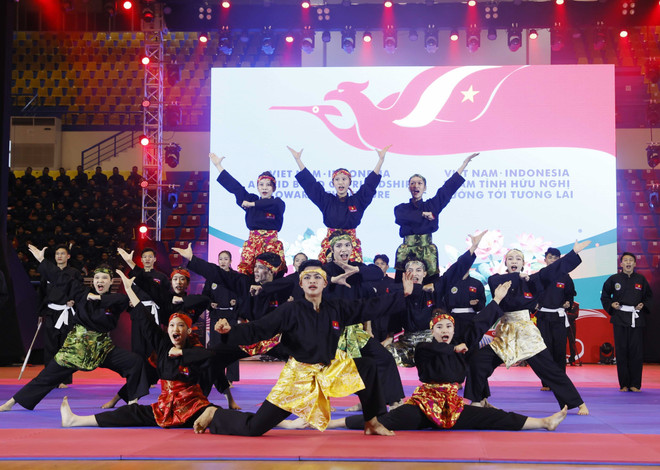 Presidents of Vietnam, Indonesia enjoy martial arts performances ảnh 2