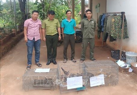 Wild animals handed over to Bu Gia Map National Park ảnh 1