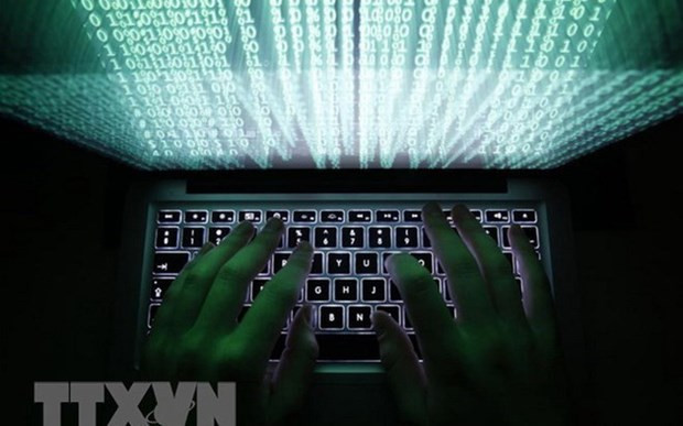 Computer viruses cause losses of 716 million USD in 2023 ảnh 1 Computer viruses cause losses of 716 million USD in 2023 ảnh 1