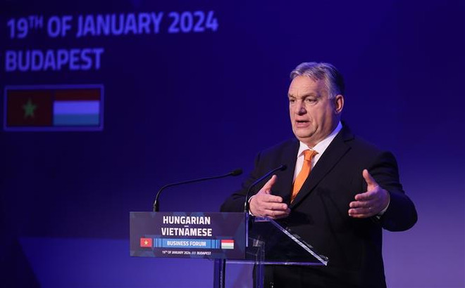 Vietnamese, Hungarian PMs attend business forum ảnh 2