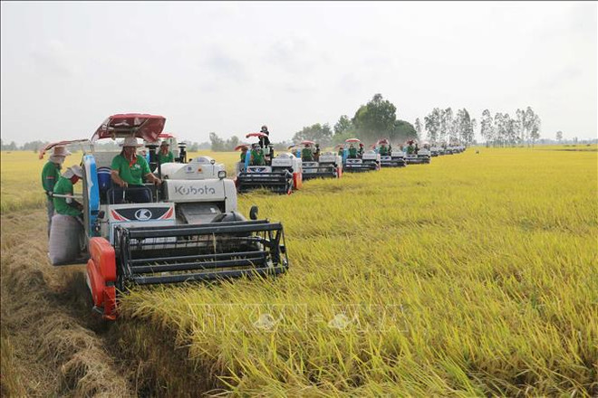Agriculture sector sets new records amid global challenges ảnh 1