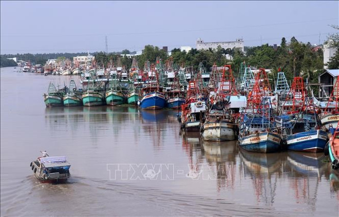 Kien Giang acts to combat IUU fishing ảnh 1
