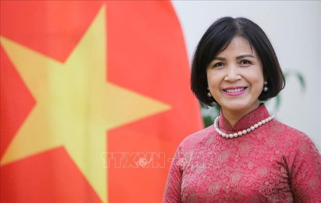 PM to highlight Vietnam’s ideas, commitments in sustainable development at WEF-54: Ambassador ảnh 1