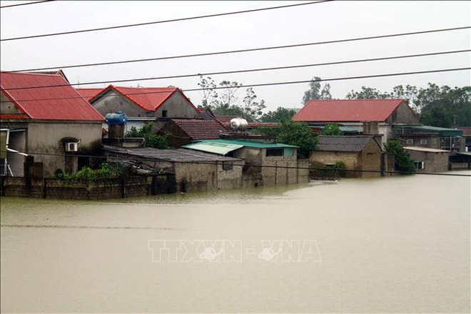 Netherlands to help Vietnam with 2.34 million USD flood aid package ảnh 1