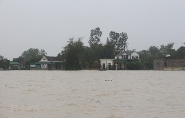 Storms, floods cause economic loss of over 730 million USD: Gov’t report ảnh 1