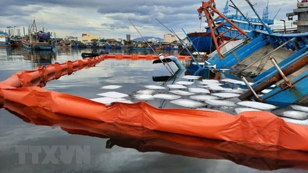 More risks of environmental incidents at sea amid pandemic ảnh 1 More risks of environmental incidents at sea amid pandemic ảnh 1