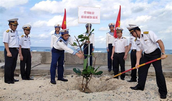 Tree planting festival: Individual trees make a forest ảnh 2 Tree planting festival: Individual trees make a forest ảnh 2
