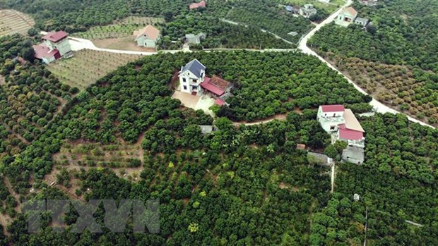 Bac Giang province moves to sustainably develop tourism ảnh 2