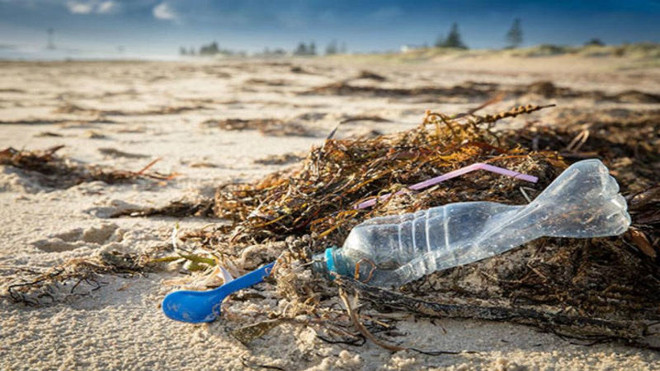 Vietnam ready to join talks on global treaty on marine plastic waste ảnh 2