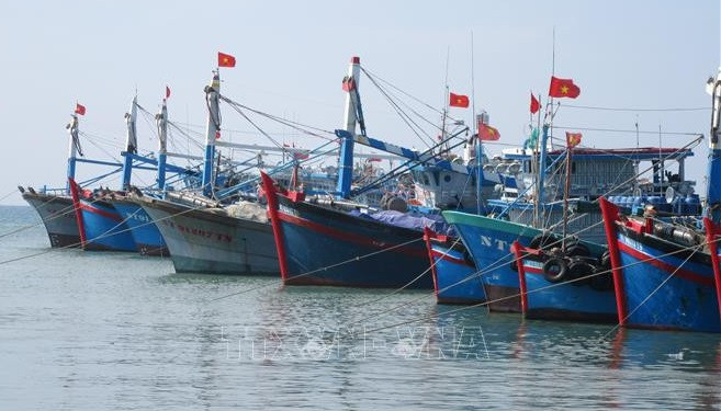 Tasks assigned to put an end to IUU fishing by year’s end ảnh 1 Tasks assigned to put an end to IUU fishing by year’s end ảnh 1